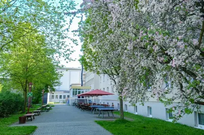 Ein Garten an der Unterkunft DJH Jugendherberge Dresden - Jugendgästehaus
