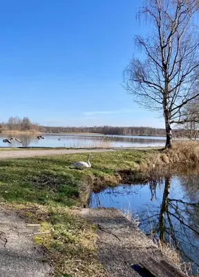 Naturlandschaft in der Nähe des Ferienhauses