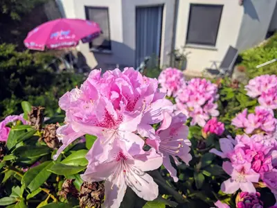 Ein Garten an der Unterkunft Ferienwohnung mit Terrasse