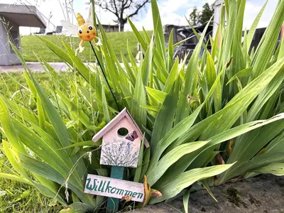 Ein Garten an der Unterkunft Ferienhaus Papstdorf Sächsische Schweiz 18