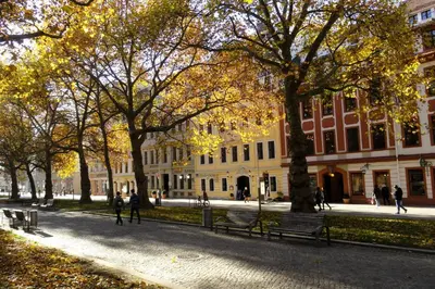 Die Umgebung um die Ferienwohnung