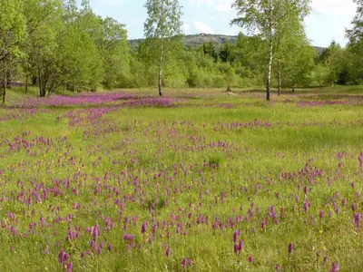 Naturlandschaft in der Nähe der Ferienwohnung