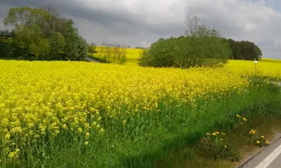 Naturlandschaft in der Nähe der Ferienwohnung