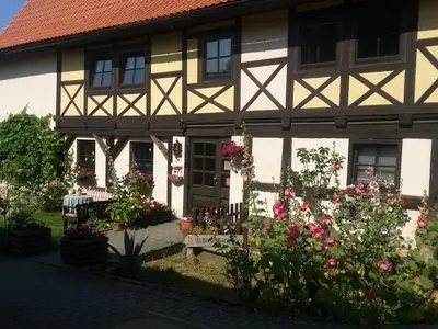 Ein Garten an der Unterkunft Elbhangzimmer Dresden