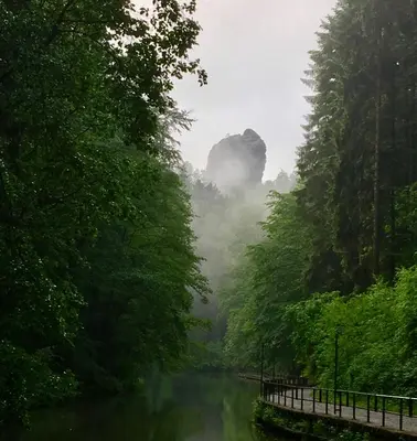 Naturlandschaft in der Nähe der Ferienwohnung