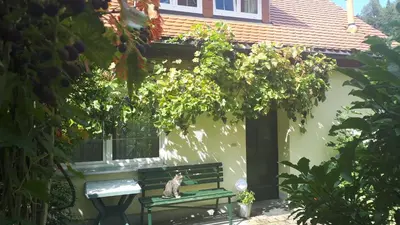 Ein Garten an der Unterkunft Ferienhaus Puttrich