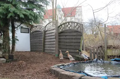 Grundriss der Unterkunft Ferienhaus Puttrich