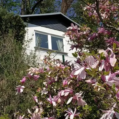 Das Ferienhaus mit Aussicht