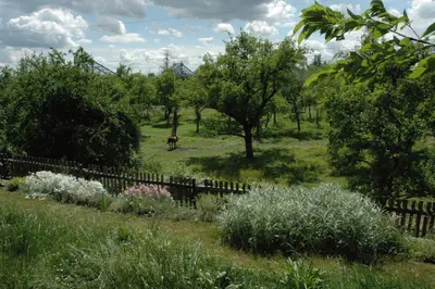 Ein Garten an der Unterkunft Dichterhaus Dresden