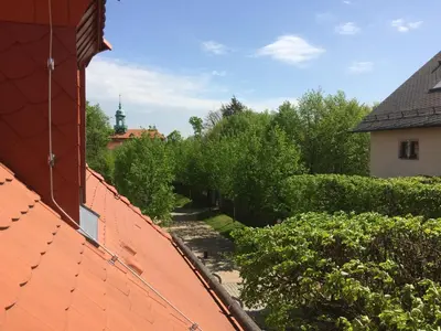 Ein Garten an der Unterkunft Schlossgasthaus Lichtenwalde
