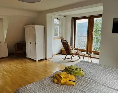 TV/Unterhaltungsangebot in der Unterkunft Waldhufenhaus in Schöna