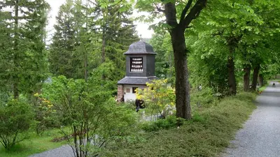 Naturlandschaft in der Nähe der Ferienwohnung