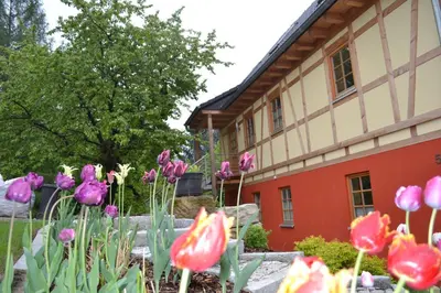 Ein Garten an der Unterkunft Ferienwohnung Brox