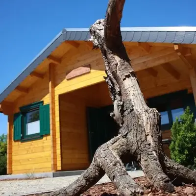 mySeenland