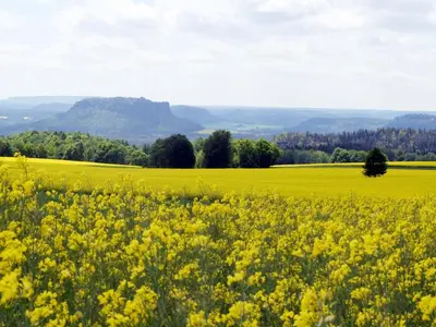 Naturlandschaft in der Nähe der Ferienwohnung