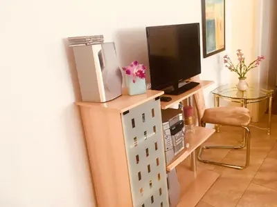 TV/Unterhaltungsangebot in der Unterkunft Ferienwohnung über den Dächern von Dresden