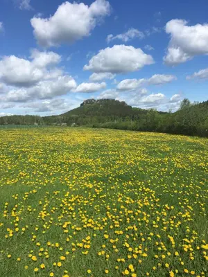 Naturlandschaft in der Nähe der Ferienwohnung