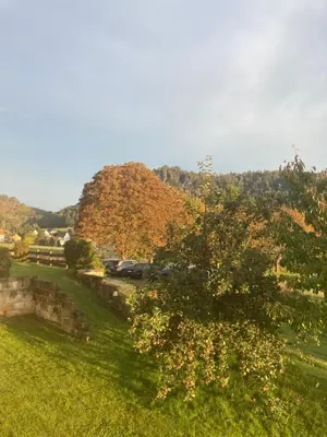 Naturlandschaft in der Nähe der Ferienwohnung