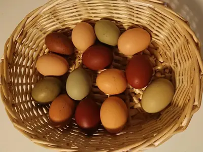 Essen in diesem Bauernhof oder in der Nähe