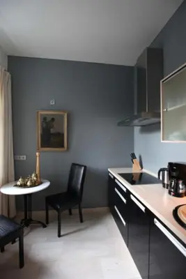 Küche/Küchenzeile in der Unterkunft Apartmenthaus Saxonia
