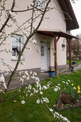 Ein Garten an der Unterkunft Am Zirkelstein 38 b