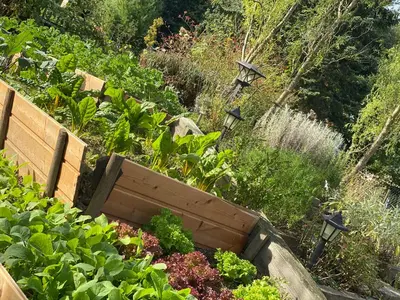 Ein Garten an der Unterkunft Moderne Pension vonBartsch mit Ladestation in der sächsischen Schweiz