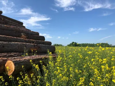 Naturlandschaft in der Nähe der Pension