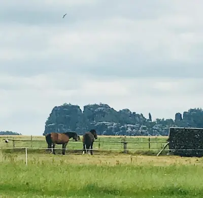 Tiere im Ferienhaus oder in der Nähe