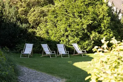 Ein Garten an der Unterkunft Pension Kleiner König