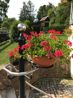 Ein Garten an der Unterkunft Ferienwohnung Grieser
