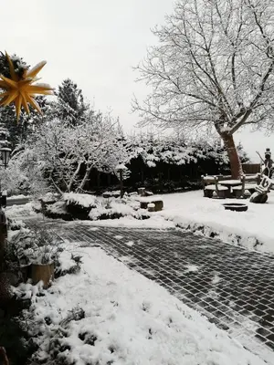 Lichtenhainer Hof im Winter