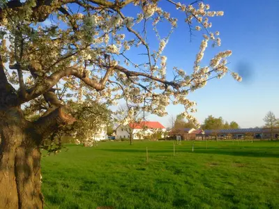 Ein Garten an der Unterkunft Ferienwohnung Zweinig 01