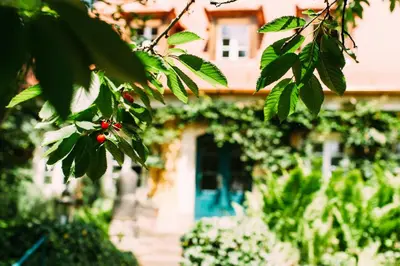 Ein Garten an der Unterkunft Villa Sorgenfrei und Restaurant Atelier Sanssouci