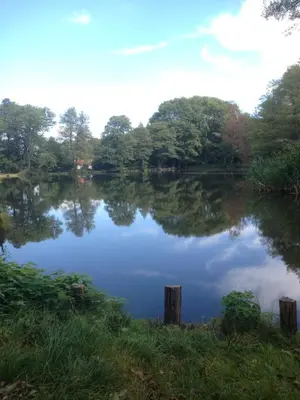Naturlandschaft in der Nähe des Campingplatzes