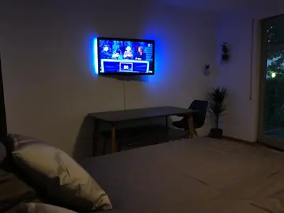 TV/Unterhaltungsangebot in der Unterkunft Modernes Apartment Dresden Neustadt