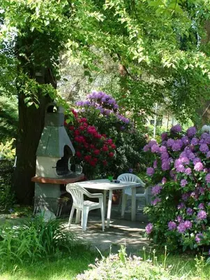 Ein Garten an der Unterkunft Apartment in Chemnitz, Ebersdorfer Wald