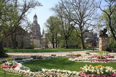 Ein Garten an der Unterkunft Apartment Dresden City Centre