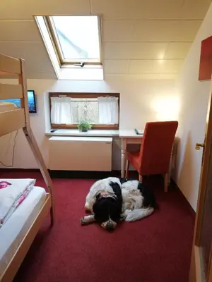 Ein Bett oder Betten in einem Zimmer der Unterkunft Ferienhof Höhensonne