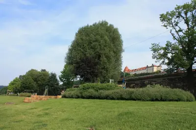 Ein Garten an der Unterkunft Apartment Am Markt 16, Bandusch-Szemák