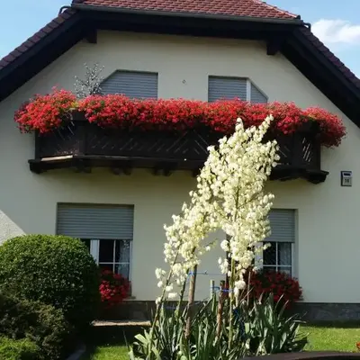 Studio Orchidee