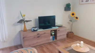 TV/Unterhaltungsangebot in der Unterkunft Landhaus Rundblick im Elbsandsteingebirge bei Bad Schandau