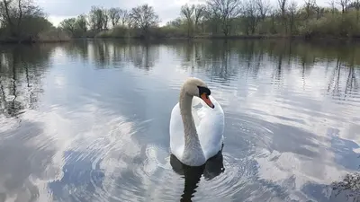 Blick auf einen Fluss in der Nähe der Ferienwohnung