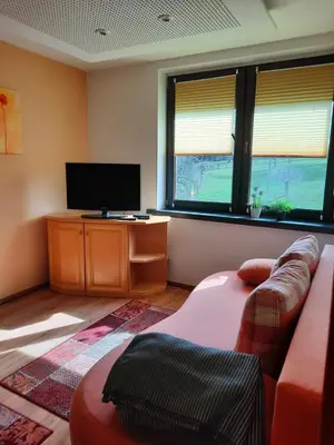 TV/Unterhaltungsangebot in der Unterkunft Monteur- und Ferienwohnung in Hainichen - Obergeschoss oder Dachgeschoss - Familie Weber
