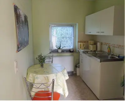 Küche/Küchenzeile in der Unterkunft Pension Kleint, Wohnung 1