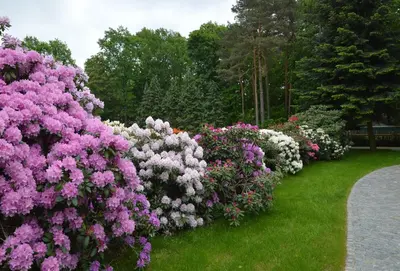 Ein Garten an der Unterkunft Ferienquartier Goethe33
