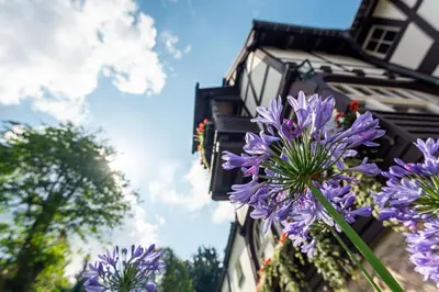 Ein Garten an der Unterkunft Villa Marie Ferienwohnungen