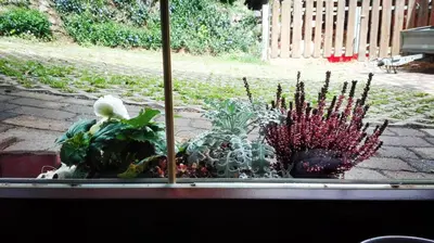 Ein Garten an der Unterkunft Gästezimmer Familie Müller