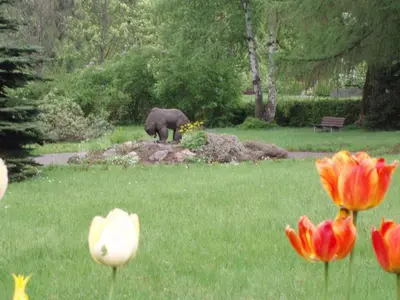 Ein Garten an der Unterkunft Pension Hotel Sartor
