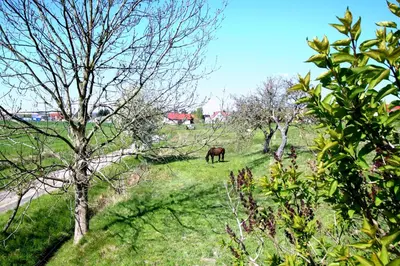 Naturlandschaft in der Nähe des Ferienhauses