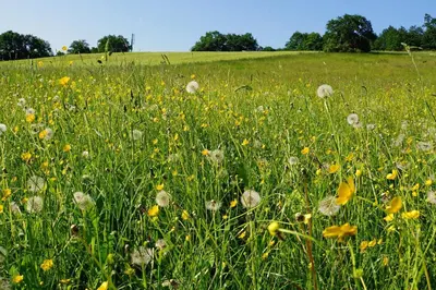 Naturlandschaft in der Nähe der Ferienwohnung